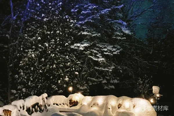 高清摄影 一个夜晚的雪覆盖的院子场景