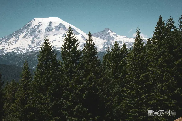 高清摄影 透过树林看到的被雪覆盖的山景