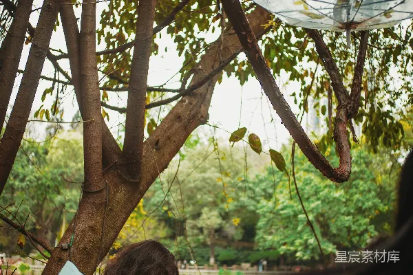 高清摄影 穿蓝色夹克的女人坐在湖边的桌子旁。