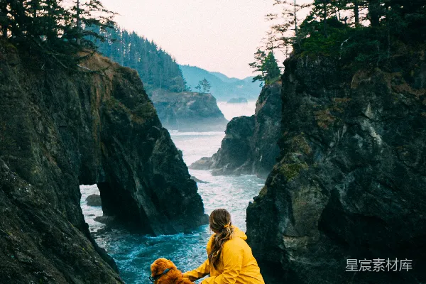 高清摄影 穿着黄色夹克的女人坐在棕色狗旁边的岩石上。