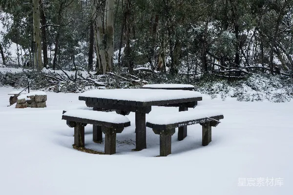 高清摄影 雪覆盖的野餐桌和长椅在树林中