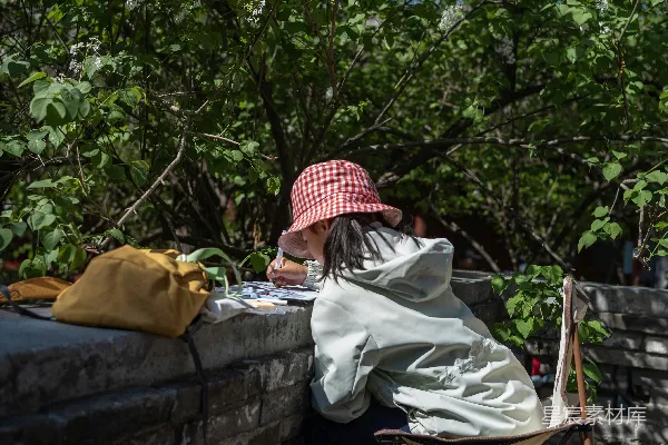 高清摄影 戴着帽子的人在开花的树下户外画画。