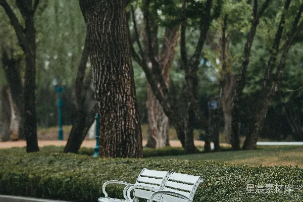 高清摄影 两把白色的公园长椅坐落在铺砌的小路上。