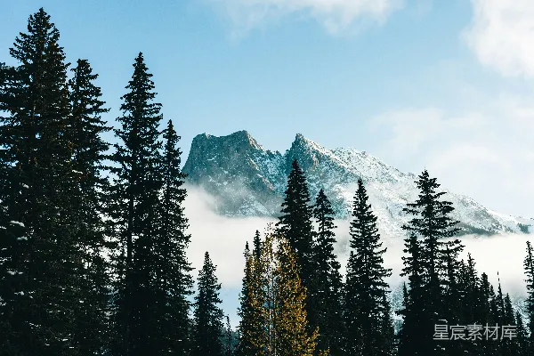高清摄影 一座覆盖着积雪的山，山上有一些树木。