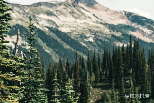 高清摄影 一个男人站在郁郁葱葱的青山之巅