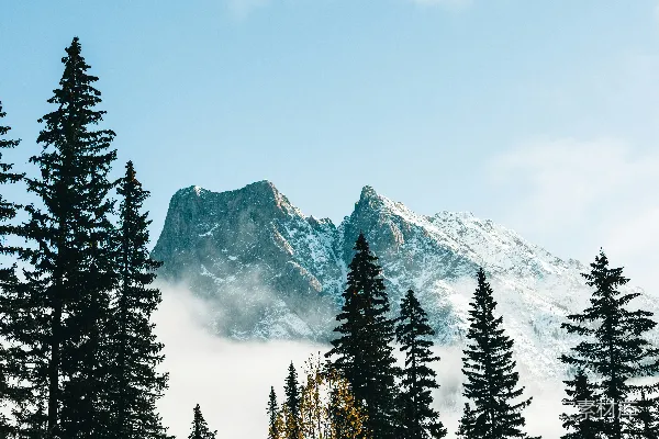 高清摄影 山前的一排树