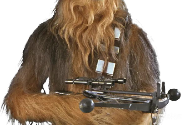 元素素材 Chewbacca