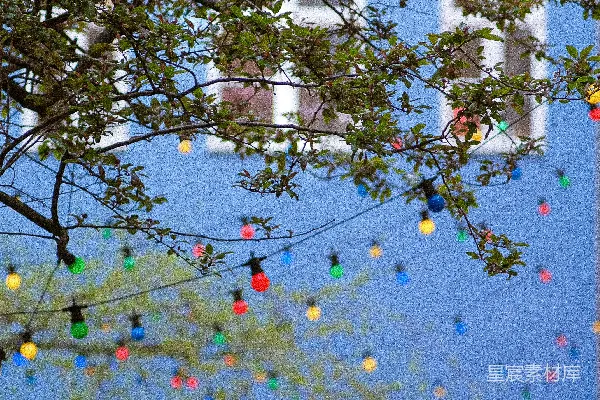 高清摄影 一棵树上挂着一串灯。