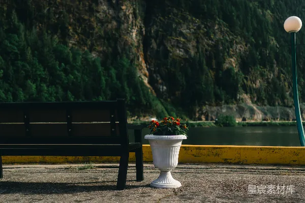 高清摄影 一张长椅，一些花和一座山脉的风景。