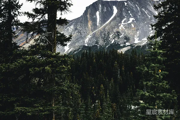 高清摄影 透过树木看到的山景