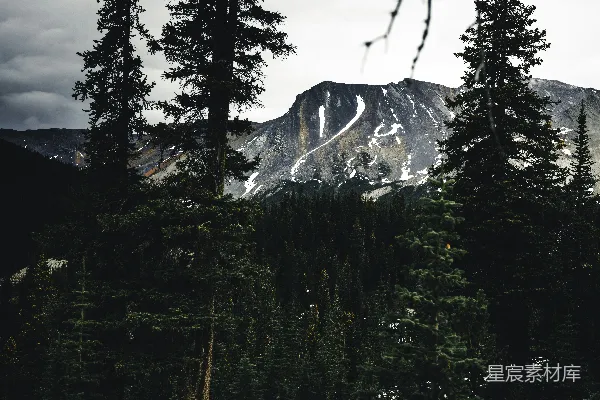 高清摄影 前景中有树木的山景