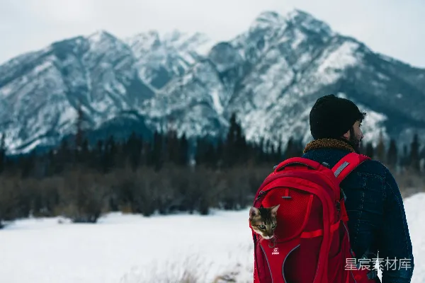 高清摄影 一个背着背包的男人和一只猫在雪地里