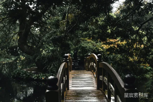 高清摄影 宁静池塘上的木桥，绿意盎然的花园中。