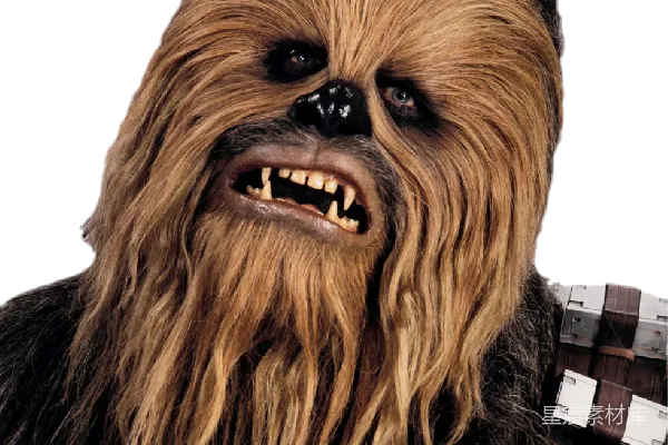 元素素材 chewbacca