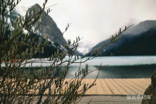 高清摄影 树枝框住了一片山间湖泊的景色。