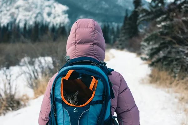 高清摄影 一个人在雪地里背着背包行走