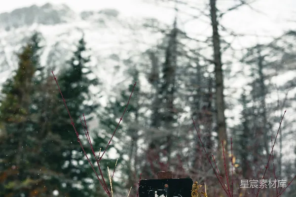 高清摄影 雪地里的一块牌子，背景中有树木。