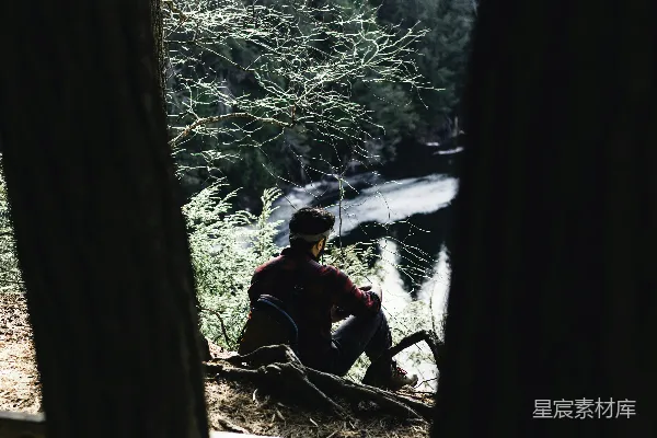 高清摄影 一个男人坐在树林里的木头上