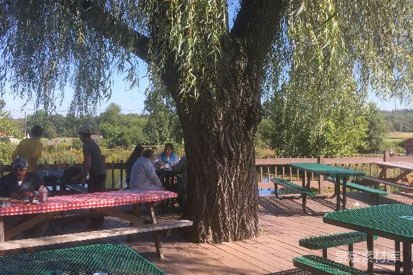 高清摄影 一群人坐在树下的野餐桌旁。