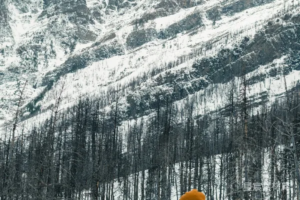 高清摄影 一个背着背包的男人站在雪地里