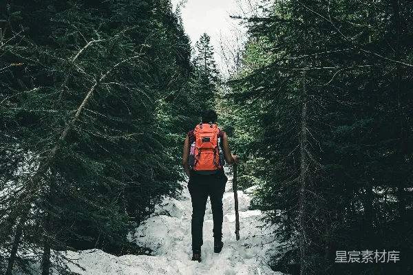 高清摄影 穿红夹克的人站在积雪覆盖的地面上。