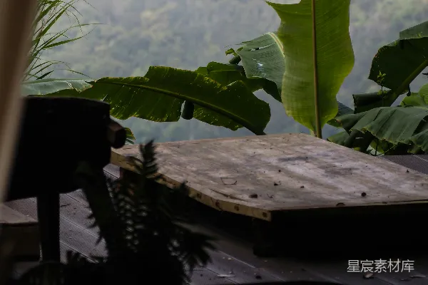 高清摄影 茂密的绿叶俯瞰着雾蒙蒙的山峦和森林。