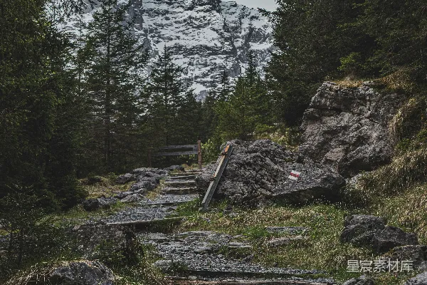 高清摄影 石阶通向树林中的登山小径
