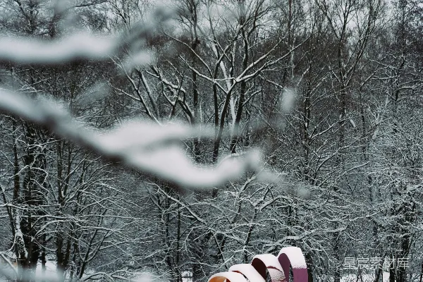 高清摄影 色彩斑斓的隧道结构在雪地公园中，周围是光秃秃的树木。