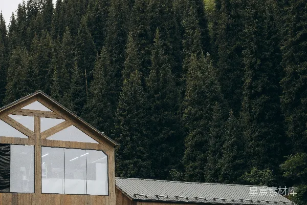 高清摄影 现代木质建筑依偎在茂密的常青森林之中。