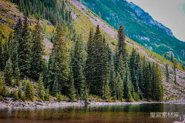 高清摄影 高大的常青树沿着宁静的湖泊排列，湖泊下方是连绵的山脉。