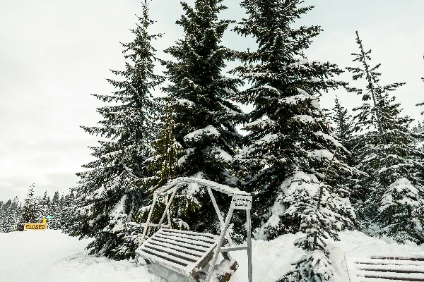 高清摄影 冬日里的雪景，树上积满了白雪，公园的长椅上也覆盖着一层薄雪。