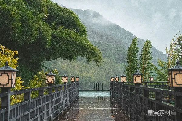 高清摄影 一条湿润的小径，两旁挂着灯笼，通向一片迷雾中的森林。