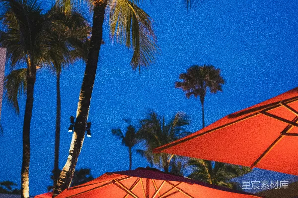 高清摄影 黄昏时分的红色雨伞和棕榈树