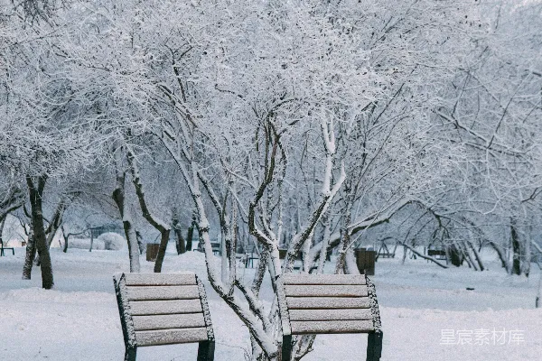 高清摄影 两个被雪覆盖的空椅子在公园里。