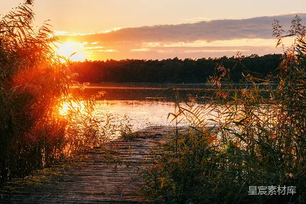 高清摄影 夕阳照耀在平静的湖面上，湖边有一座木制的码头。