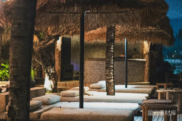 高清摄影 海滩躺椅和棕榈树在夜晚
