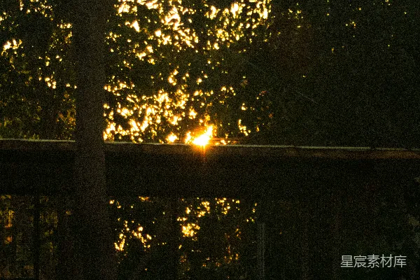 高清摄影 夕阳透过浓密的树木和横向的建筑结构照射出来。