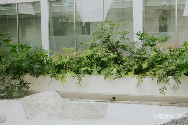 高清摄影 白色建筑，周围有茂盛的绿色植物和禅意花园。