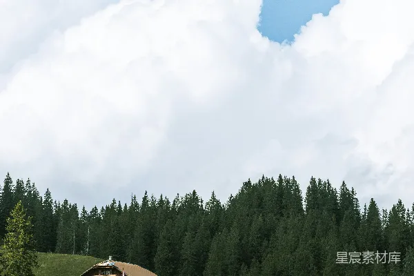 高清摄影 草地上的一座木屋，背景是森林。