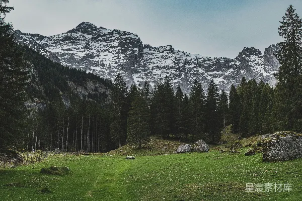 高清摄影 白雪覆盖的山峰高耸在一片翠绿的森林草地上方。