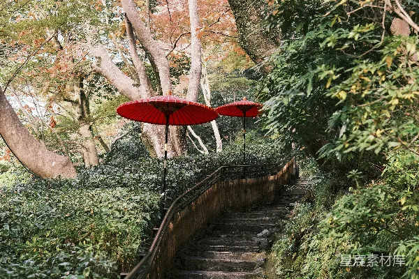 高清摄影 森林中的木制楼梯上挂着红色雨伞