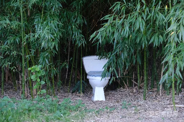 高清摄影 花园里的一个厕所