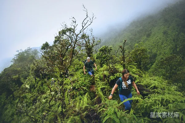 高清摄影 一对男女徒步旅行