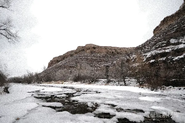 高清摄影 一条河流穿过覆盖着雪的森林