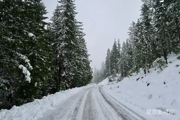 高清摄影 被雪覆盖的道路被树木环绕