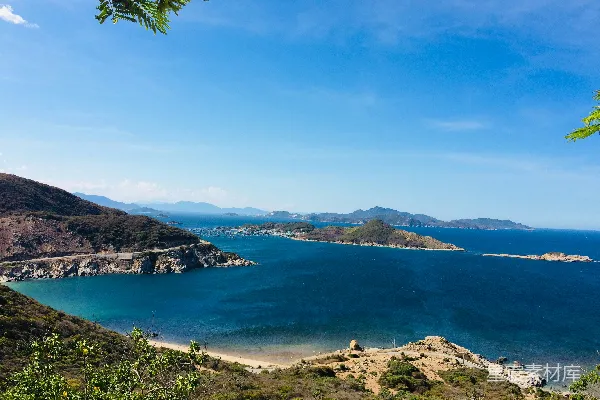 高清摄影 白天岛上的绿棕榈树