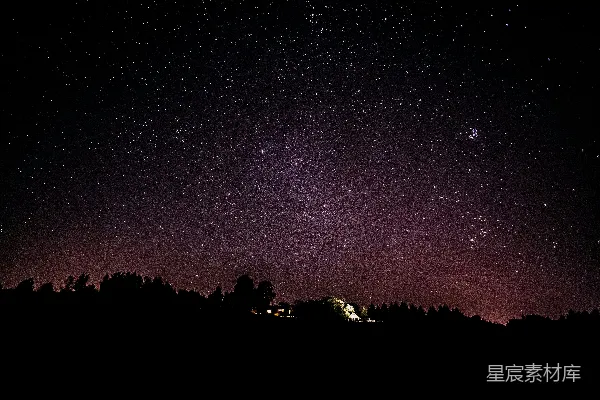 高清摄影 星夜下的树木剪影