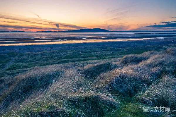 高清摄影 一片草地，背景中有夕阳。