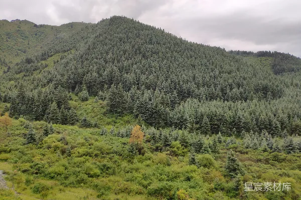 高清摄影 白天多云的天空下，山上的绿树。