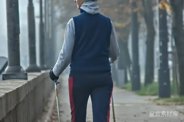 高清摄影 带着手杖的女子走在两旁种满树木的小路上
